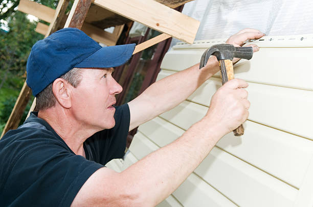 Best Vinyl Siding Installation  in Dixon, IL