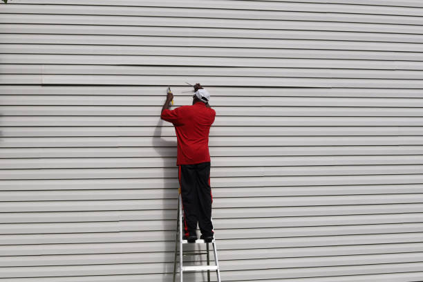 Best Brick Veneer Siding  in Dixon, IL